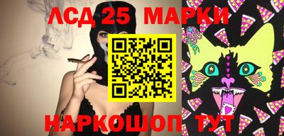 амф Новодвинск