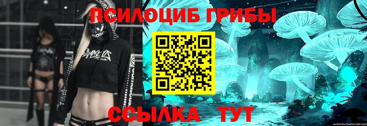 Галлюциногенные грибы Magic Shrooms Дагестанские Огни