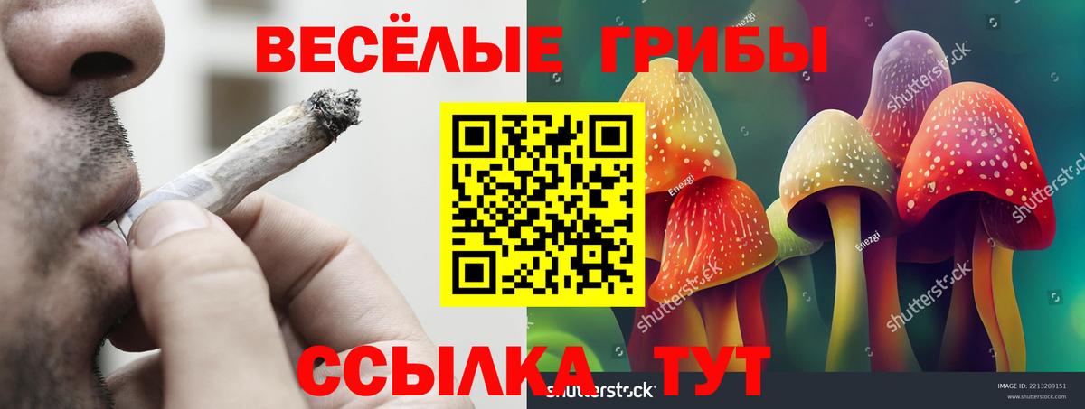 Галлюциногенные грибы прущие грибы  Галлюциногенные грибы Magic Shrooms  Вход с VPN  где купить наркоту  Дагестанские Огни 